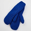 Перчатки, варежки, митенки Fomas SV 1 флис Варежки - синий
