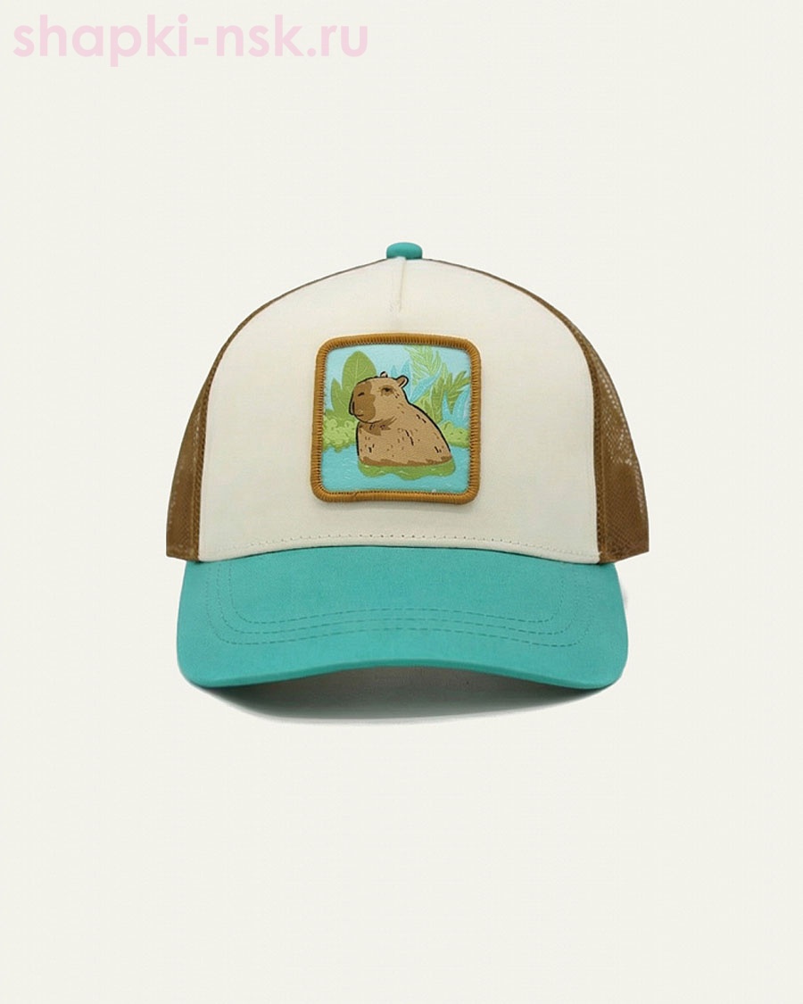 6047 Бейсболка для мальчика (50-54)