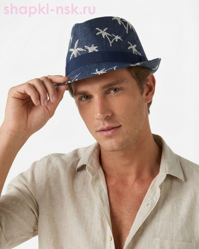 23804 Шляпа мужская (58) - Шапки-НСК. Головные уборы оптом и в розницу.