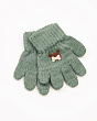 Перчатки, варежки, митенки Теплыши 099-TGm Перчатки для мальчика (1-2 года) - полынь