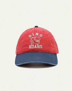 6041-MC Бейсболка для мальчика (50-54)