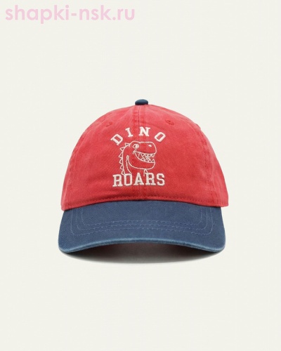 6041-MC Бейсболка для мальчика (50-54) - Шапки-НСК. Головные уборы оптом и в розницу.