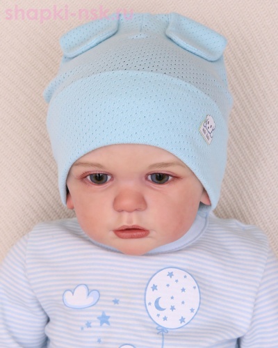 07-45-NT Шапка с ушками для мальчика (44-46) - Шапки-НСК. Головные уборы оптом и в розницу.