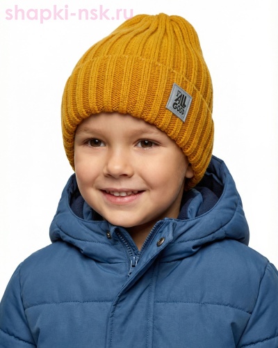 13282/2 MBH Колпак для мальчика флис (50-52) - Шапки-НСК. Головные уборы оптом и в розницу.