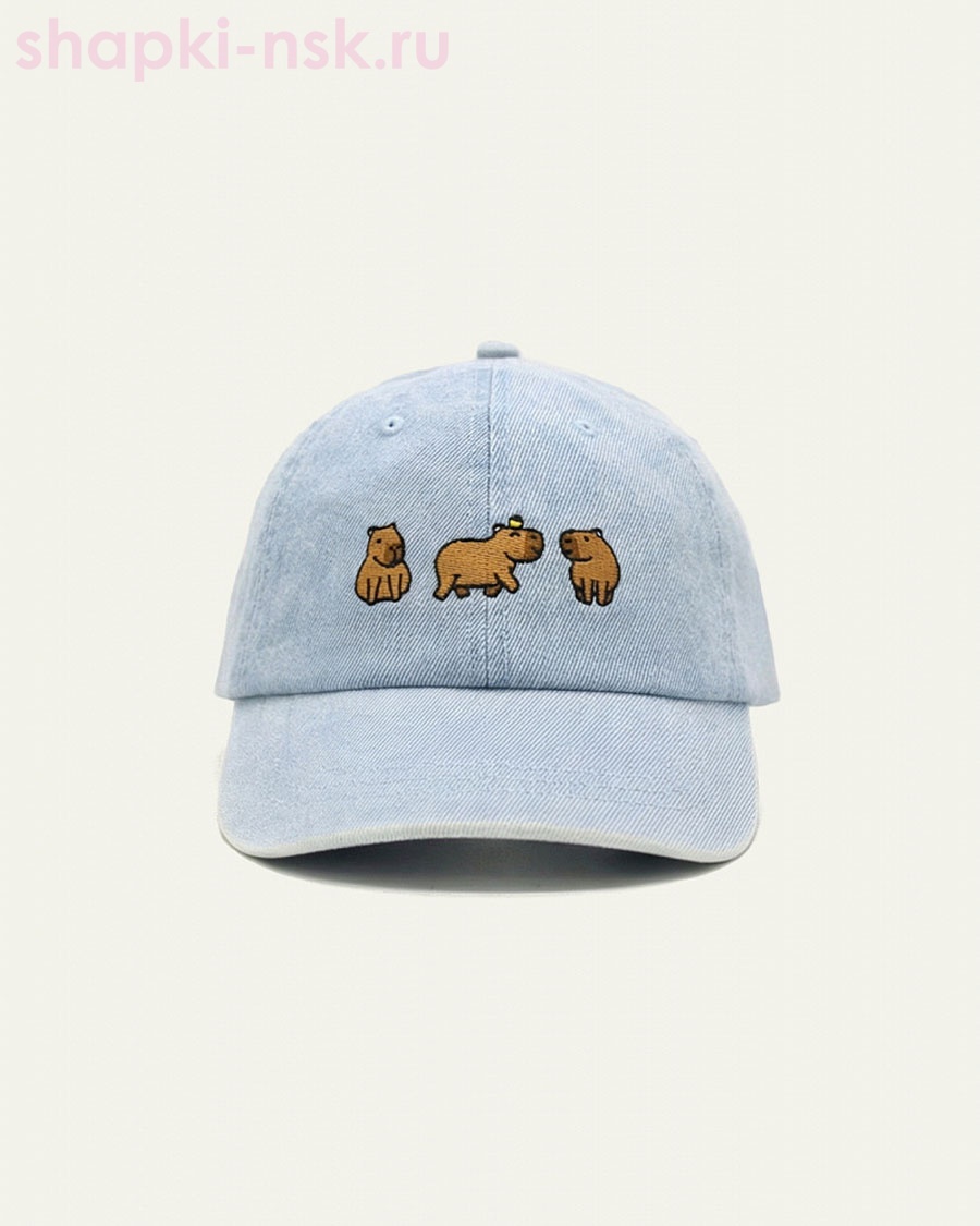 6046-MB Бейсболка детская (52-54)