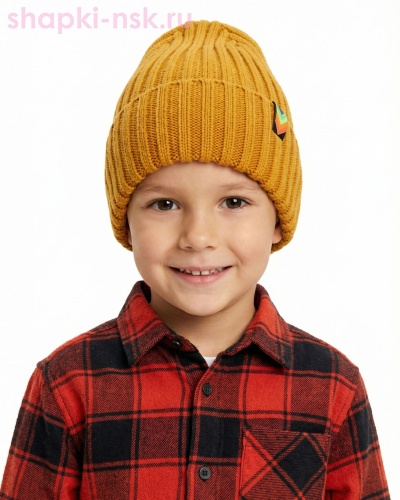 12423 MBH Колпак для мальчика (50-52) - Шапки-НСК. Головные уборы оптом и в розницу.