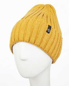 11840/2 RBH Колпак для мальчика флис (54-56)