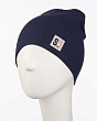 Головные уборы Поляярик 03-62-LT Бини для мальчика (48-50) - т.синий